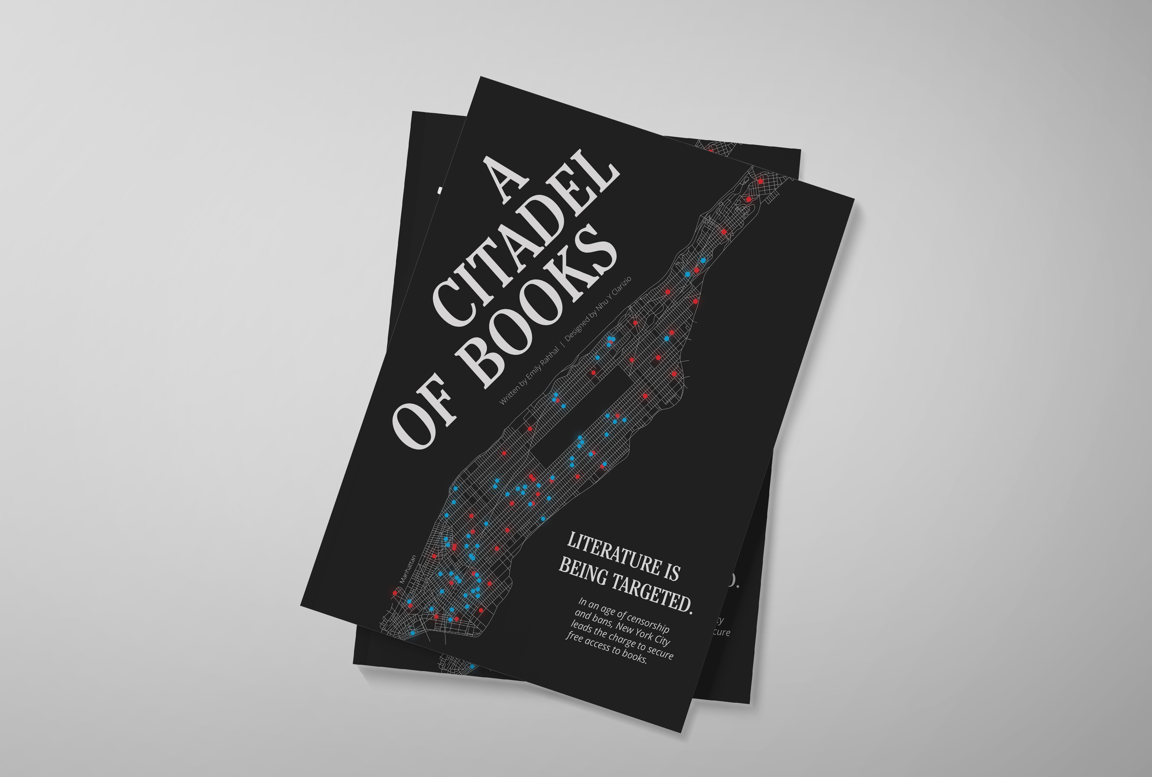 mockup of citadel of books cover